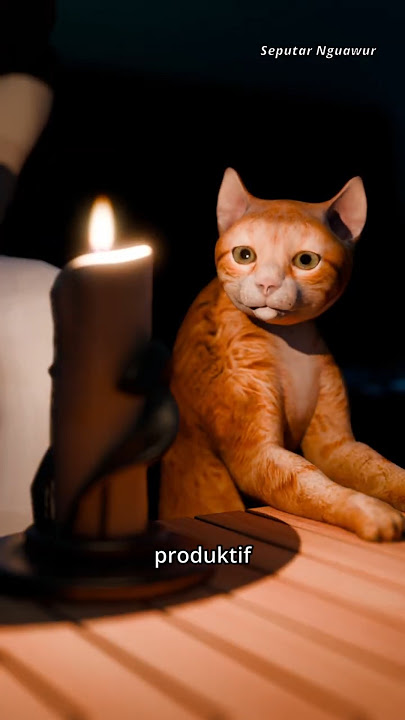 Listrik Mati  #seputarnguawur #tutorialrandom