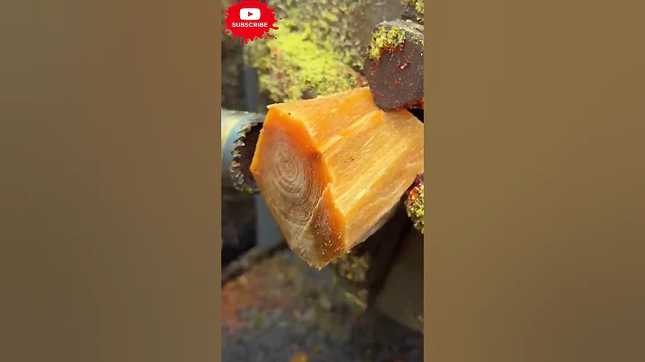 Amazing bracelet carving feng shui pixiu #Short_video - DayDayNews
