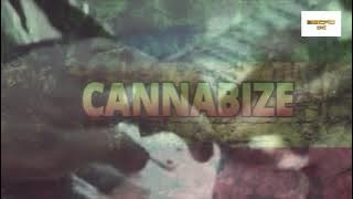 Wineng - 'Cannabize Reggae' Cover by Valen Vardam ft. Encho Dc ( Lyric video)