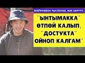 "Ынтымакка" өтпөй калып, "Достукта" ойноп калгам" дейт көк бөрүчү Майрамбек Рыспеков