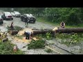 06-14-2023 Quitman, LA - Trees down on Highway