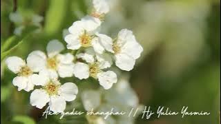 Aku gadis shanghai // Hj Yulia Yasmin