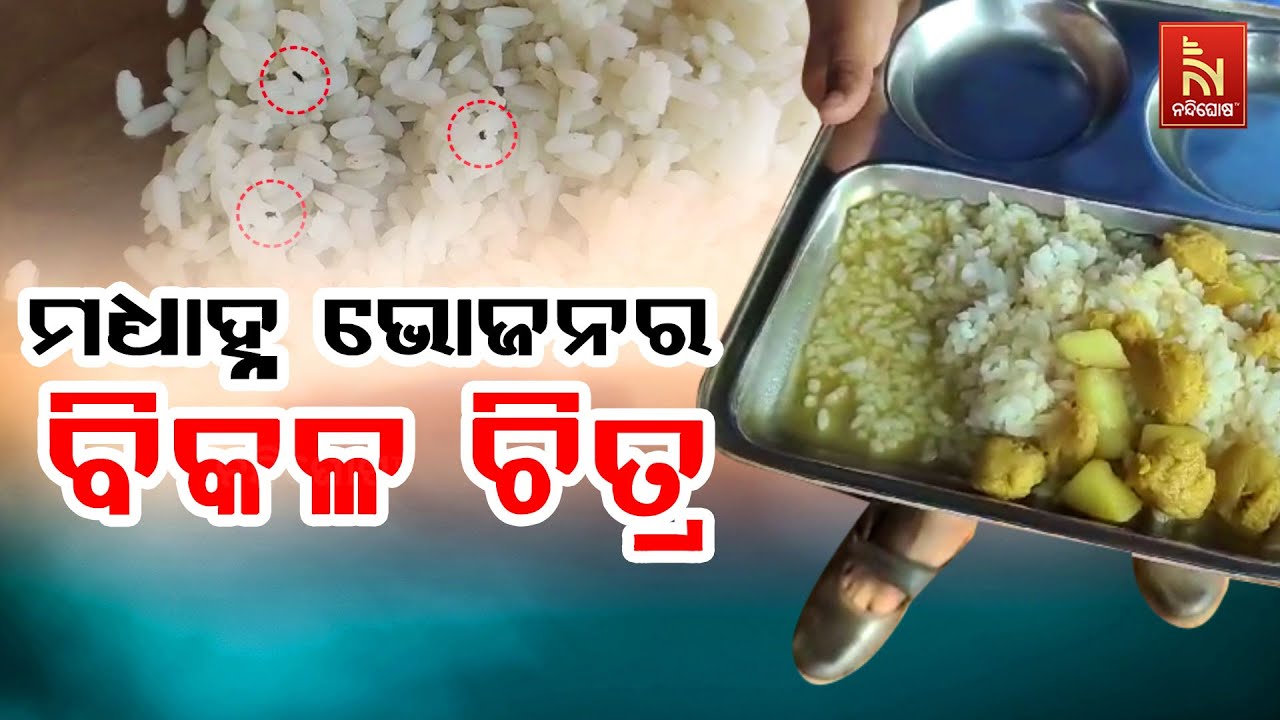 Food for Thought: Mid-Day Meal Crisis Affects Students' Health and Future | Nandighosha TV