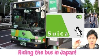 How to ride the bus in Japan? Do you know SUICA??