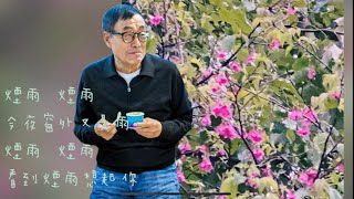 🌿煙雨～電影音樂+劉家昌+江蕾🌿1975🌿1080p
