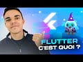 Flutter cest quoi  retour sur les 10 ans de flutter flutterflow web etc