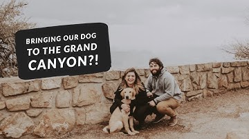 VISITING THE GRAND CANYON (with our dog!) // ARIZONA TRAVEL VLOG