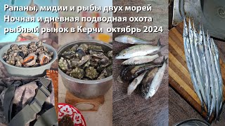 видео: Рапаны, мидии и рыбы двух морей, ночная и дневная подводная охота, рыбный рынок в Керчи октябрь 2024 картинка: Рапаны, мидии и рыбы двух морей, ночная и дневная подводная охота, рыбный рынок в Керчи октябрь 2024