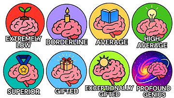 Every Level of Intelligence Explained In Detail