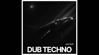 dj Shabby - April 2025 Dub Techno Mix #dubtechno #techno