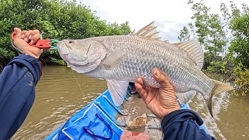 Câu lure cá chẽm đầm thiên nhiên bằng mồi mềm gói 7 màu