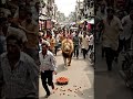 Sadak pe sher aa gaya 😱🦁💀