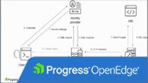 Overview of SAML in PAS for OpenEdge