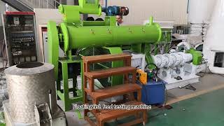Single Screw Floating Fish Feed Extruder Machine Working Video