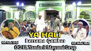 YA HALI || Zafin bersama || Kh ubbad yamin || Bersama gambus || OG EL Yamin \u0026 Mayami grup