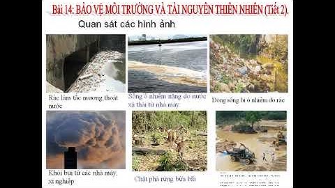 Tuần 22. Tiết 22. BÀI 14 Bảo vệ môi trường và TNTN (tiết2)