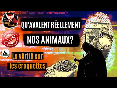 Vidéo: Y A-t-il De La Viande Dans Les Croquettes Pour Chiens Et Chats ?