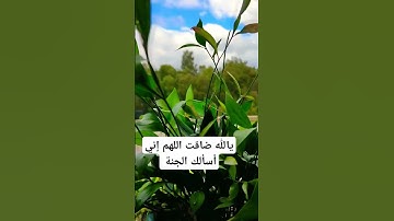 #عبدالرحمن_مسعد #يوم_الجمعة #قرآن #تلاوات #ترند #اكسبلور#youtube  #اكتب_شي_تؤجر_عليه #explore