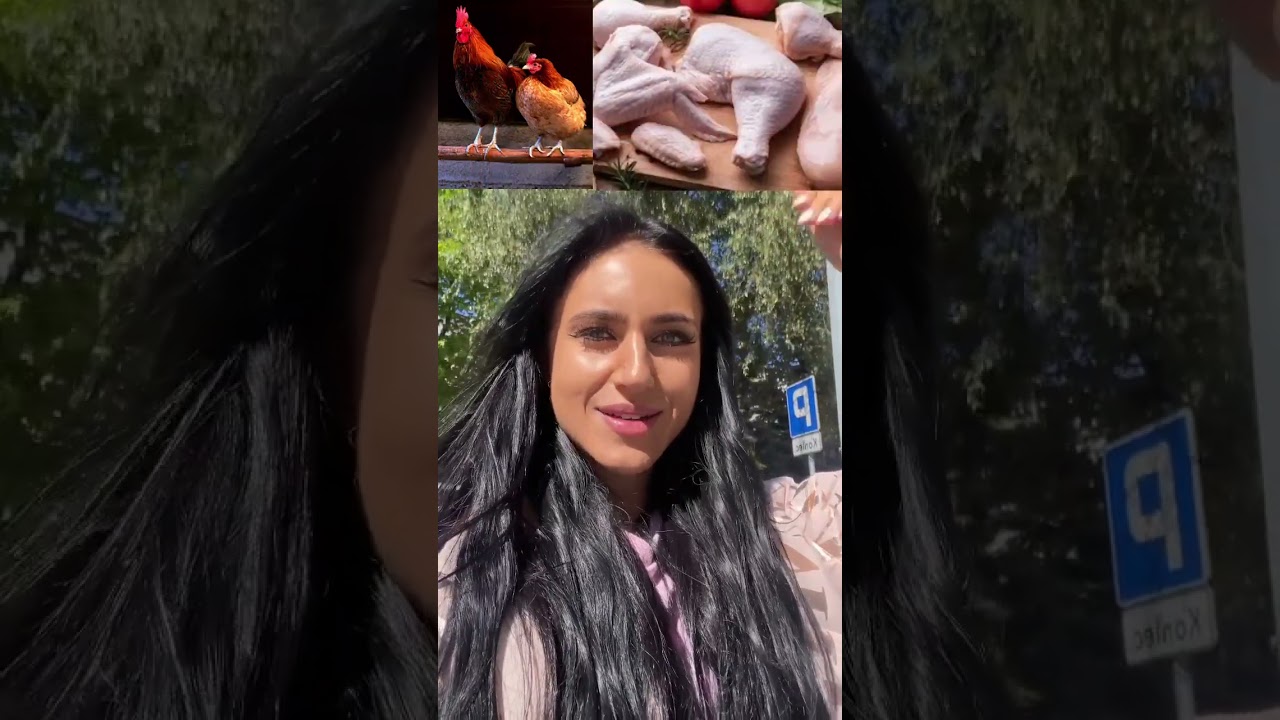 ANIMAL NAMES AND THEIR MEAT