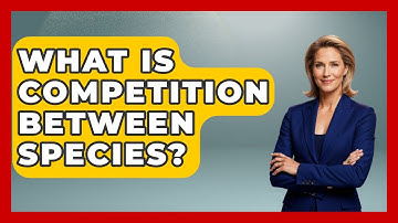 What Is Competition Between Species? - Explaining Ecology