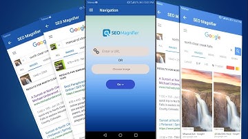 How to use SEOMagnifier