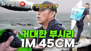 [최강달인ON] 제주도 거대 부시리를 잡는 '낚시'의 달인