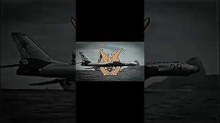 #historylane #history #indonesianairforce #airforce #military #tu16badger #tu16 #edit #funk #fyp