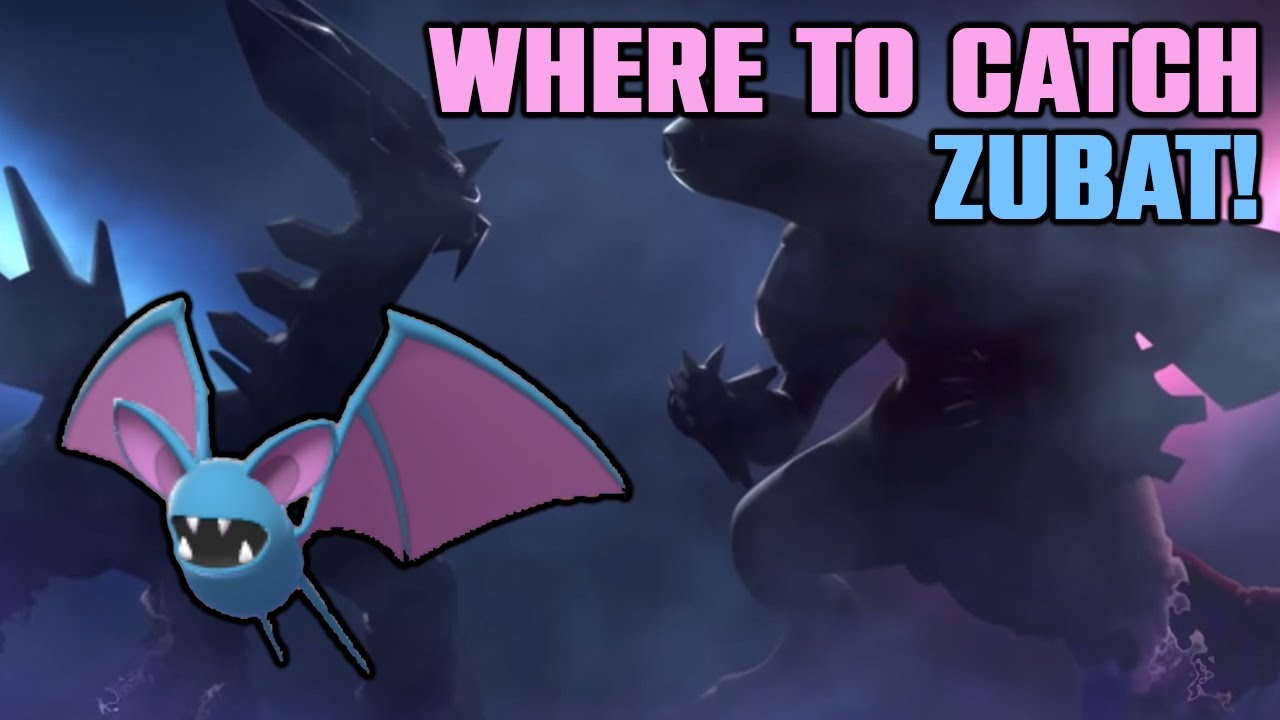 Where to Catch Zubat! Pokemon Brilliant Diamond/Shining Pearl YouTube