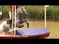 Land Rover Burghley Horse Trials 2014 - Day 4, Cross Country