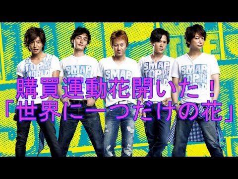 購買運動花開いた。世界に一つだけの花。異例１２年ぶり３位（SMAP・代表曲・世界に一つだけの花・購買運動）