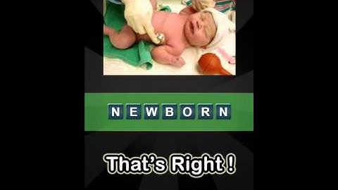 Whats That Pic Searchlight Level 91-100 Answer Guide