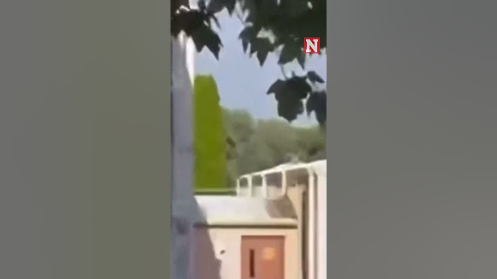 New Video Shows Thomas Matthew Crooks Moments Before Assassination Attempt