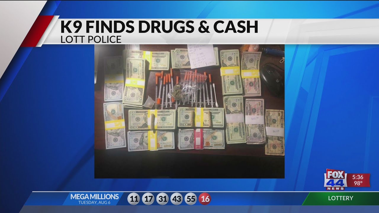 Traffic stop brings big cash seizure