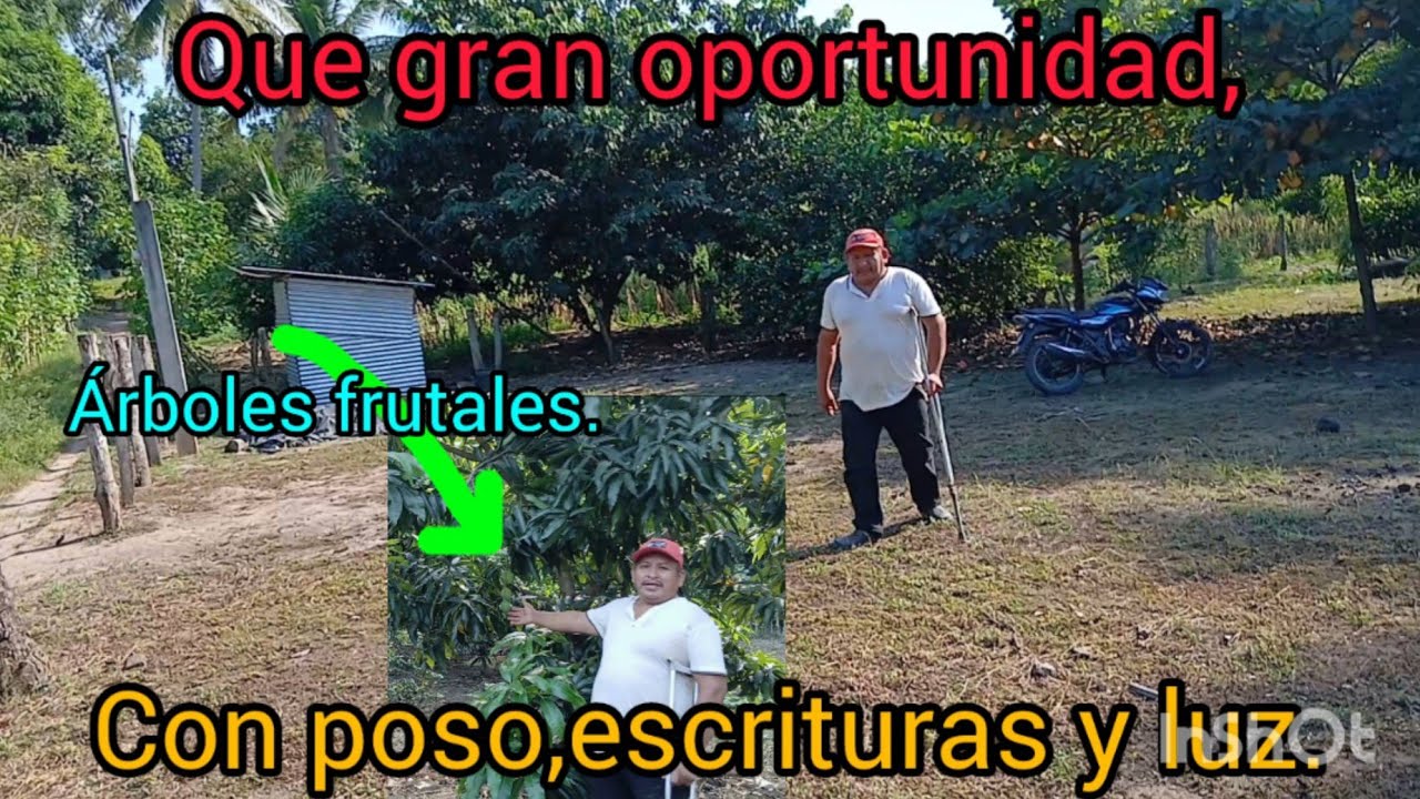 Otra gran oportunidad,tarea y media de terreno a la venta,en jabali, precio,160,000 mil,negociable. 