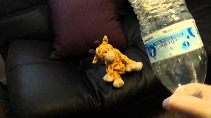 Jerry the Giraffe