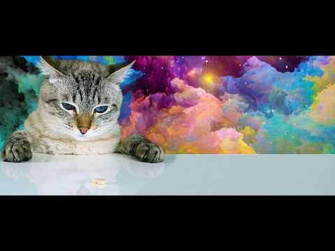 Technopath | Trip Cat | Official Music Video