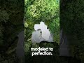 Every structure brought to life in 3D