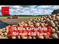 4,50 Euro für 10-Kilo-Sack: 6000 Menschen kaufen Bauern 54 Tonnen Kartoffeln ab