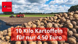4,50 Euro Für 10-Kilo-Sack 6000 Menschen Kaufen Bauern 54 Tonnen Kartoffeln Ab