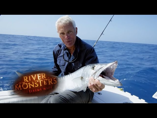 Jeremy Wade Catches FOUR Huge Barracuda! | BARRACUDA | River Monsters class=