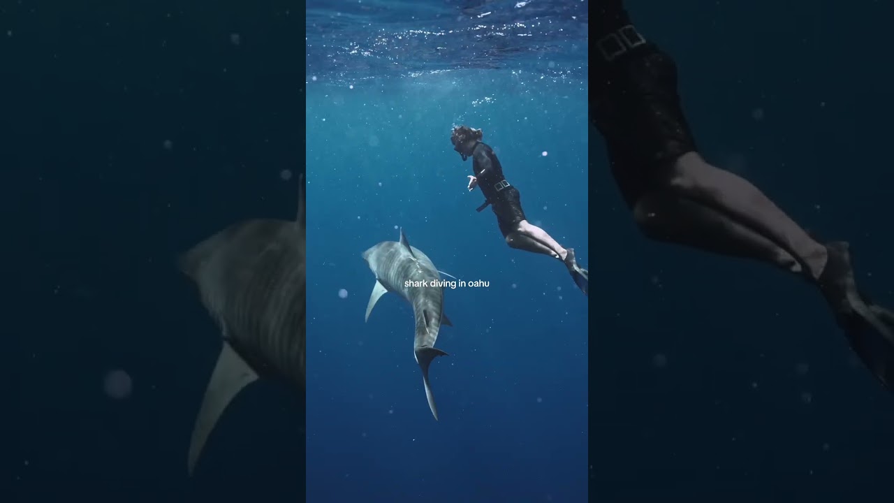 best excursion in the entire world 