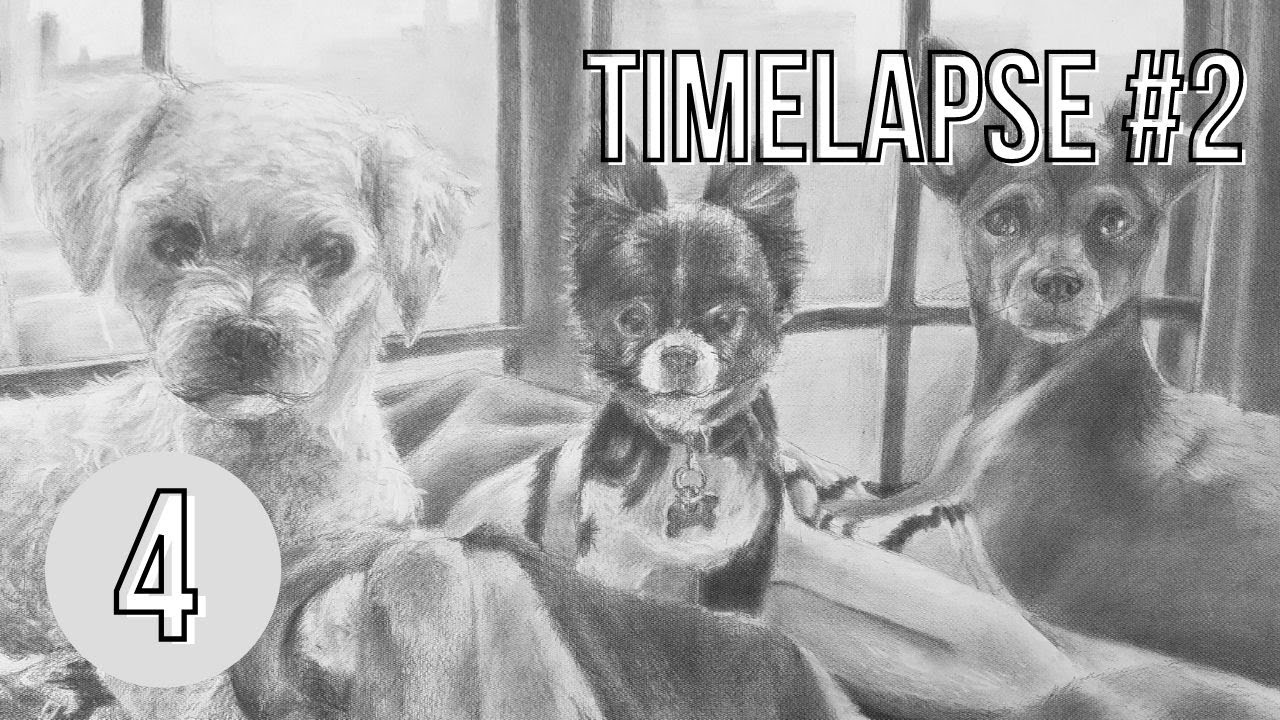 Dibujo de perros a lápiz (4/6) (Timelapse#2 - lynezuke)