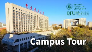 Campus Tour | Beijing Forestry University (2022)