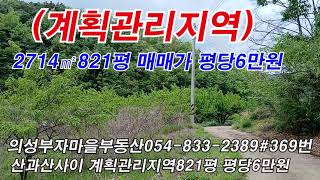 시퀀스 03 #매물369번   의성군 금성면 산과산사이 싼땅821평 평당6만원 #의성싼땅매매 #의성부자마을부동산 #경산부동산 #경산#군위#영천#구미#영덕#안동#양산
