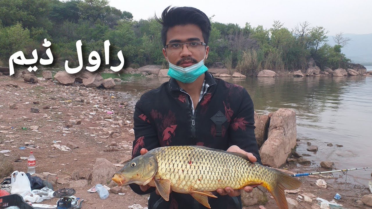 Beautiful China fish | Rawal dam Fishing | Sheikh Basit Fishing