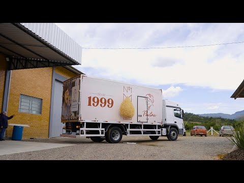 Produção Salgados Paulina - Ascurra/SC