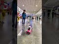 cute dog skate in shopingmall.soooo cool#pet #cat #funnyshorts #dog #funnyanimals #cute