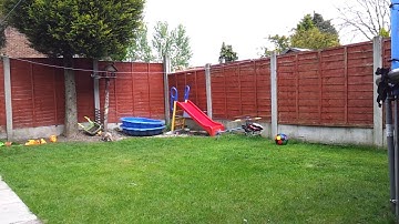 Titan 450 v2 trex clone in the garden