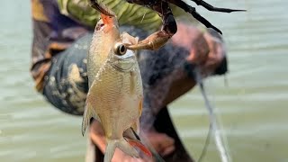 Fishermen try to catch 2 kg of fish, it takes a long time to catch fish and use nets to catch fish.