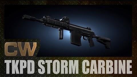 Contract Wars : TKPD Storm Carbine